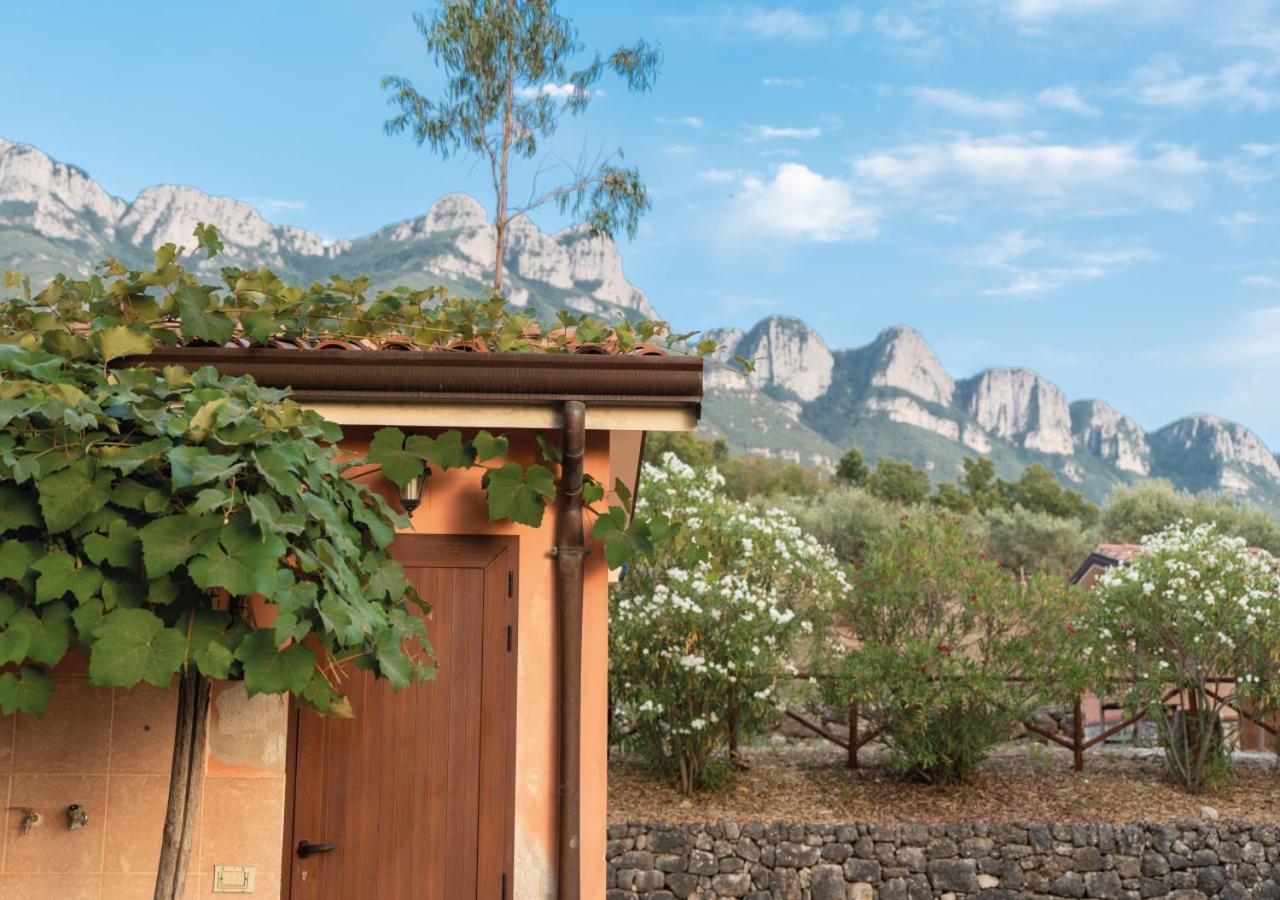 Il Sorgituro - Agriturismo Postiglione Eksteriør bilde